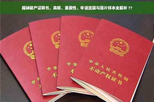 揭秘破产证明书，真相、重要性、申请流程与图片样本全解析 ??