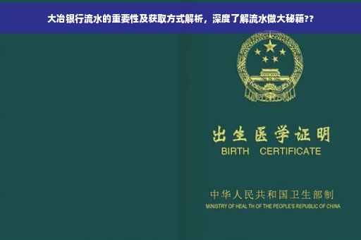 大冶银行流水的重要性及获取方式解析，深度了解流水做大秘籍??