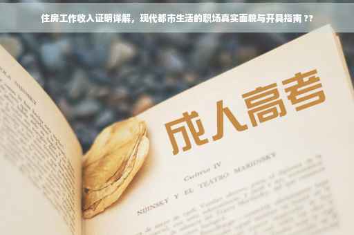 住房工作收入证明详解，现代都市生活的职场真实面貌与开具指南 ??