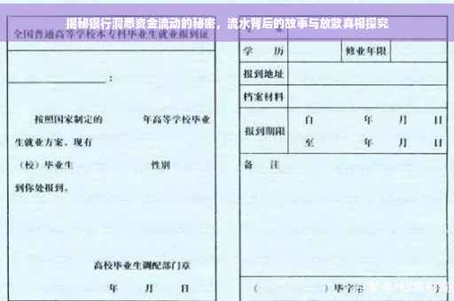 揭秘银行洞悉资金流动的秘密，流水背后的故事与放款真相探究