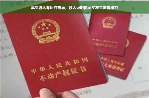 真实收入背后的故事，收入证明揭示实发工资揭秘??
