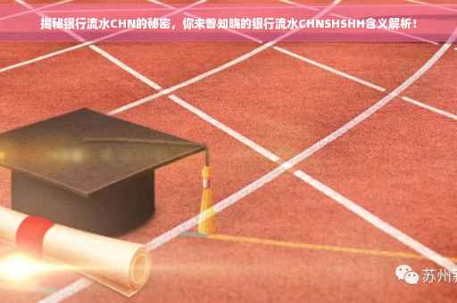 揭秘银行流水CHN的秘密，你未曾知晓的银行流水CHNSHSHH含义解析！