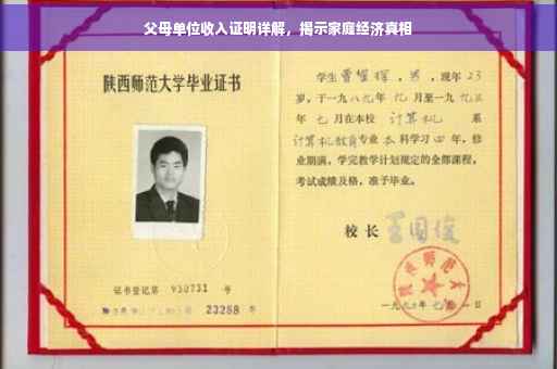 父母单位收入证明详解，揭示家庭经济真相