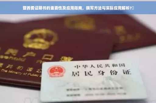 营养费证明书的重要性及应用指南，撰写方法与实际应用解析?✨