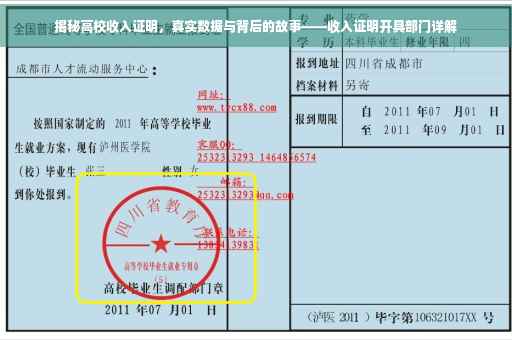 揭秘高校收入证明，真实数据与背后的故事——收入证明开具部门详解