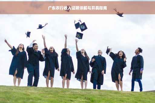 广东农行收入证明详解与开具指南