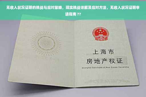 无收入状况证明的挑战与应对策略，现实挑战详解及应对方法，无收入状况证明申请指南 ??