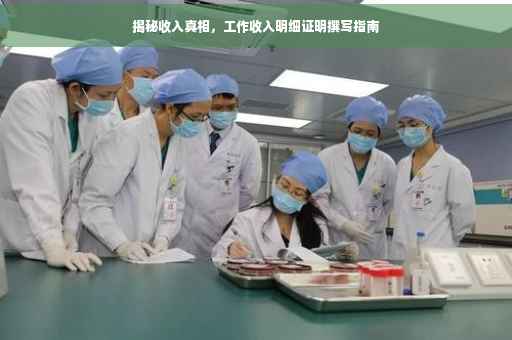揭秘收入真相，工作收入明细证明撰写指南
