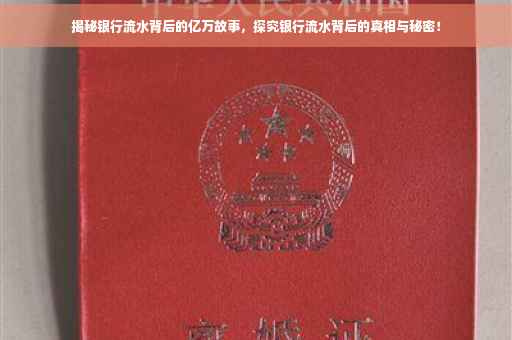 揭秘银行流水背后的亿万故事，探究银行流水背后的真相与秘密！