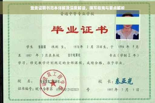 垫资证明书范本详解及深度解读，撰写指南与要点解析