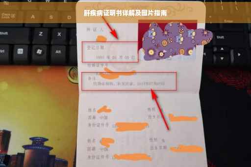 肝疾病证明书详解及图片指南