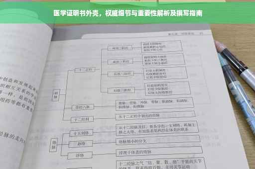 医学证明书外壳，权威细节与重要性解析及撰写指南