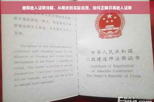 缴税收入证明详解，从概念到实际应用，如何正确开具收入证明