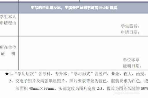 生命的告别与反思，生病去世证明书与病逝证明详解
