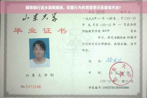 避税银行流水真相揭秘，犯罪行为的危害警示及查询方法?