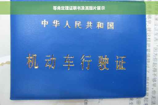 等角定理证明书及其图片展示