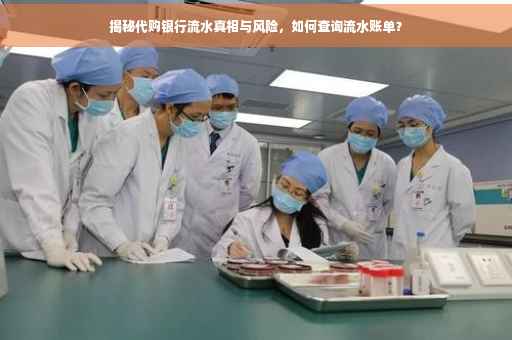 揭秘代购银行流水真相与风险，如何查询流水账单？