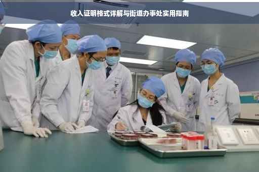 收入证明格式详解与街道办事处实用指南