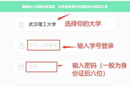 揭秘收入证明法律风险，公司被告事件深度剖析与应对之道