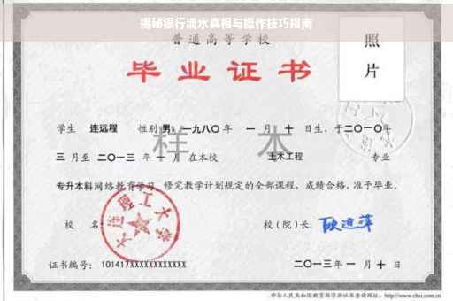 揭秘银行流水真相与操作技巧指南