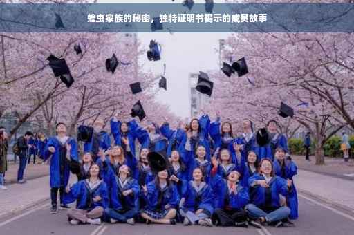 蝗虫家族的秘密，独特证明书揭示的成员故事