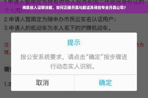 南昌收入证明详解，如何正确开具与解读及寻找专业开具公司？