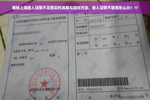 揭秘上海收入证明不足背后的真相与应对方法，收入证明不够用怎么办？??