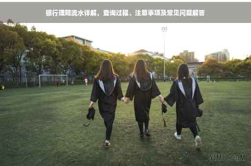 银行理赔流水详解，查询过程、注意事项及常见问题解答