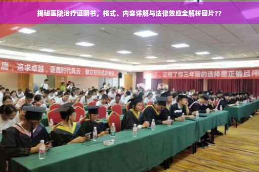 揭秘医院治疗证明书，格式、内容详解与法律效应全解析图片??