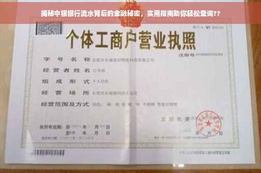 揭秘中银银行流水背后的金融秘密，实用指南助你轻松查询??