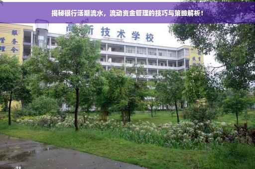 揭秘银行活期流水，流动资金管理的技巧与策略解析！