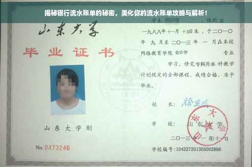 揭秘银行流水账单的秘密，美化你的流水账单攻略与解析！
