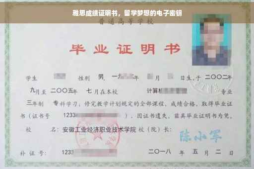 雅思成绩证明书，留学梦想的电子密钥