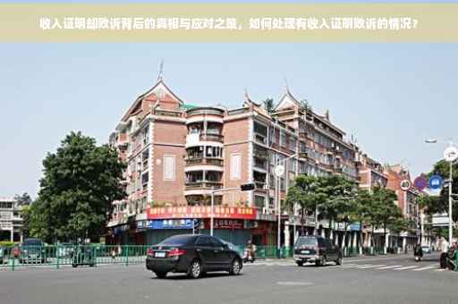 收入证明却败诉背后的真相与应对之策，如何处理有收入证明败诉的情况？
