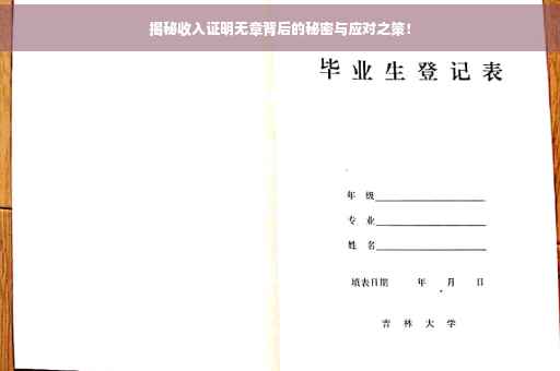 揭秘收入证明无章背后的秘密与应对之策！