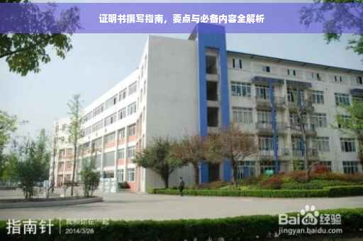 证明书撰写指南，要点与必备内容全解析
