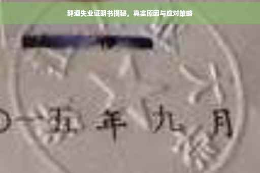 辞退失业证明书揭秘，真实原因与应对策略