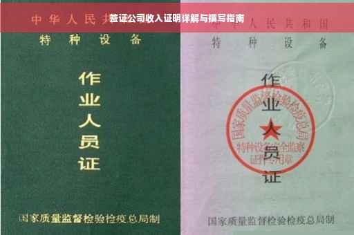 签证公司收入证明详解与撰写指南