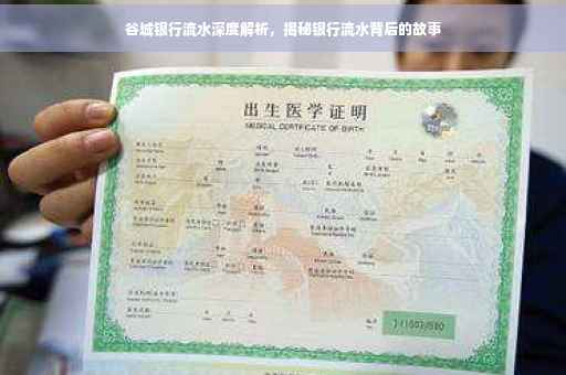 谷城银行流水深度解析，揭秘银行流水背后的故事