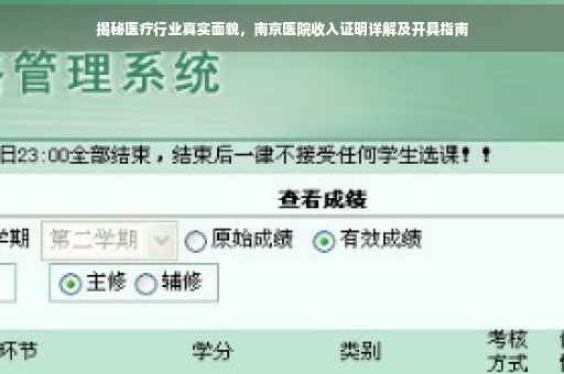 揭秘医疗行业真实面貌，南京医院收入证明详解及开具指南