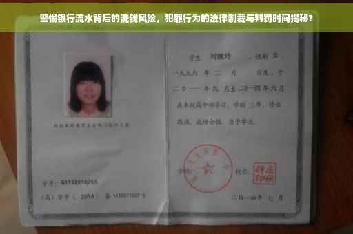 警惕银行流水背后的洗钱风险，犯罪行为的法律制裁与判罚时间揭秘?