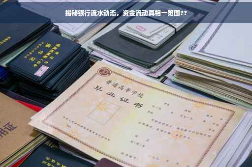 揭秘银行流水动态，资金流动真相一览图??