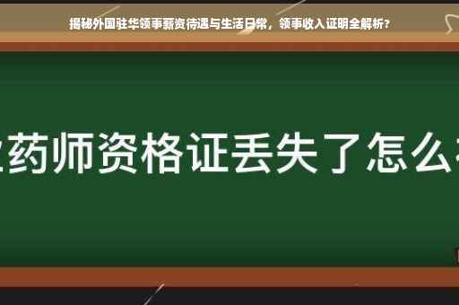 揭秘外国驻华领事薪资待遇与生活日常，领事收入证明全解析?