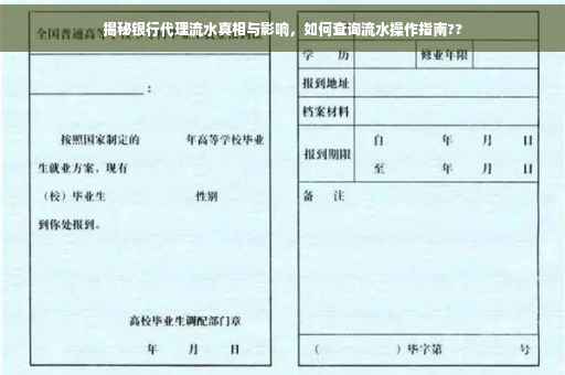 揭秘银行代理流水真相与影响，如何查询流水操作指南??