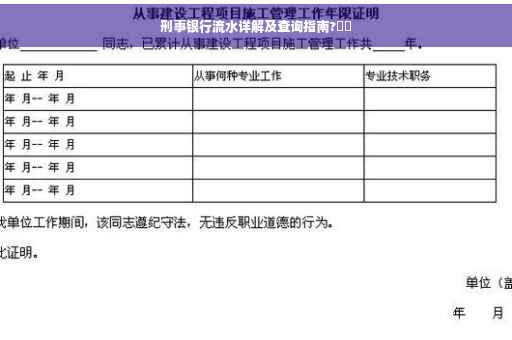 刑事银行流水详解及查询指南?⚡️