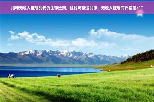 揭秘无收入证明时代的生存法则，挑战与机遇共存，无收入证明写作指南?⚡️