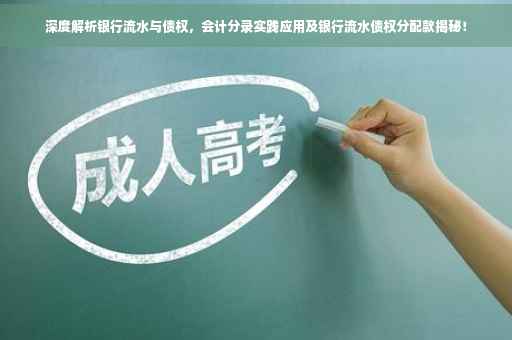 深度解析银行流水与债权，会计分录实践应用及银行流水债权分配款揭秘！