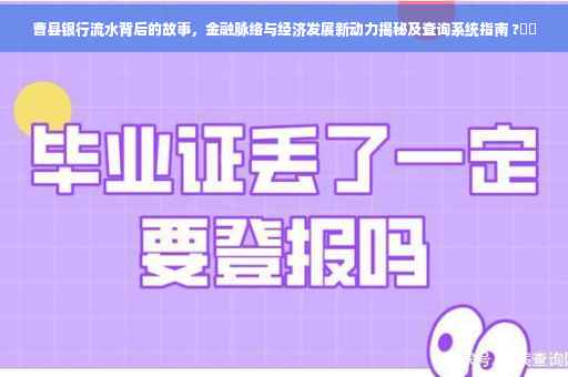 曹县银行流水背后的故事，金融脉络与经济发展新动力揭秘及查询系统指南 ?⚡️