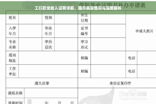 工行职业收入证明详解，揭示真实情况与深度解析