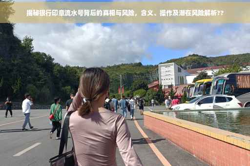 揭秘银行印章流水号背后的真相与风险，含义、操作及潜在风险解析??